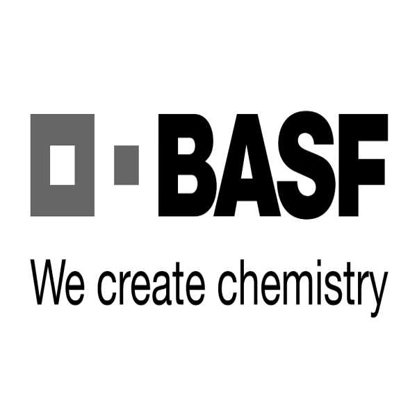 Rally Basf 2026 - 2 - Ariquemes